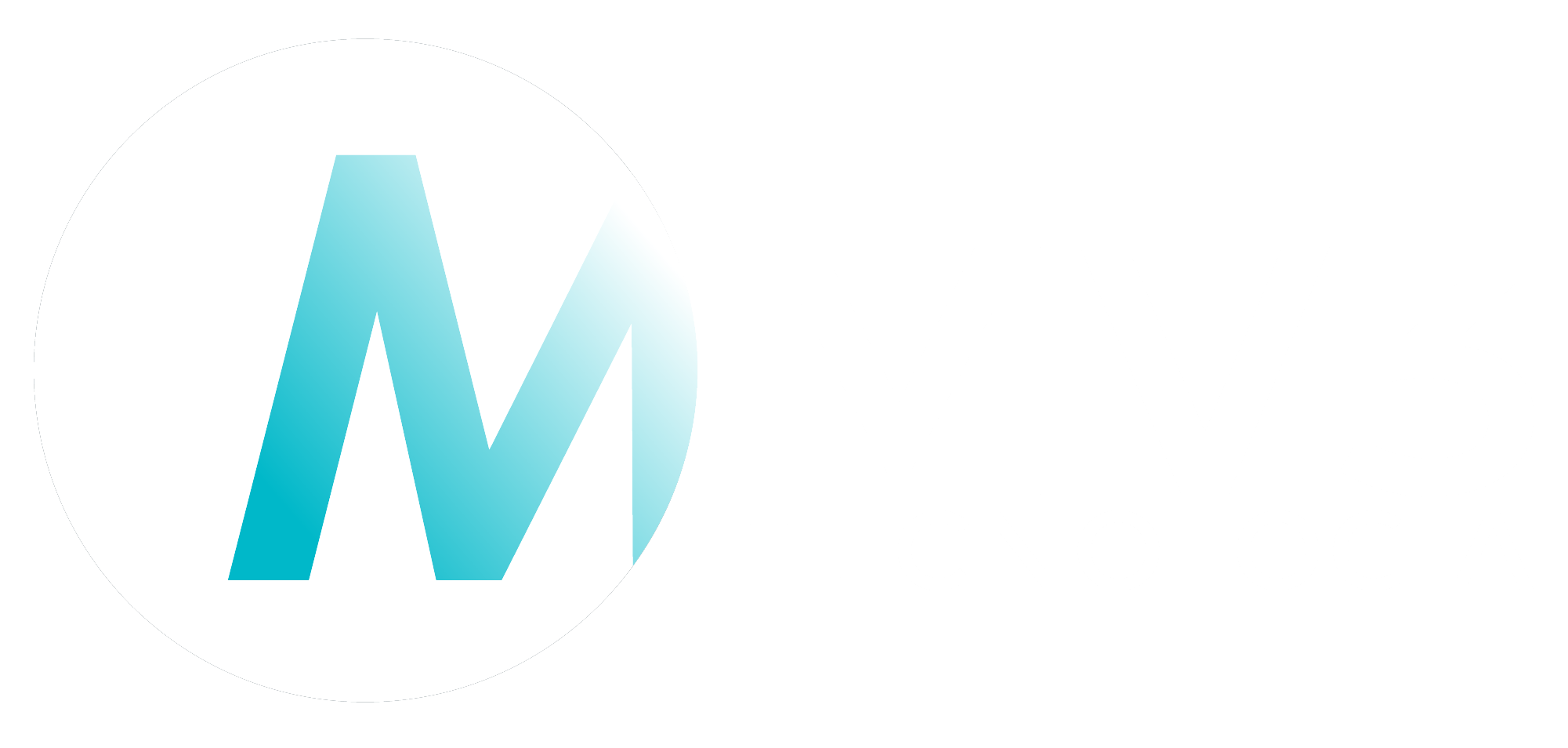 MV3 Finança — MV3 Tecnologia